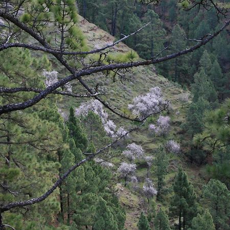Casa Rural El Riachuelo Гарафия Экстерьер фото
